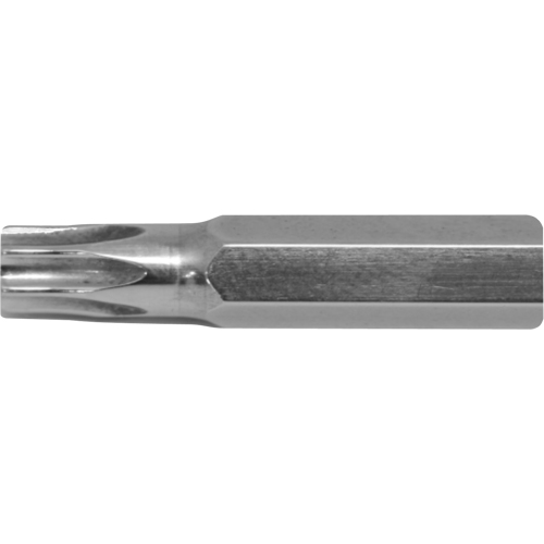 Stubby Multi-Bit Screwdriver -Replacement Bit, Torx, 15, 1/4" Drive Groupe Belzile Dickner