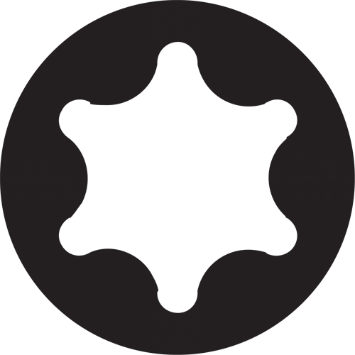 Embout de rechange pour tournevis multi embouts Sixpac Plus, Torx, 15, Prise 1/4" Groupe Belzile Dickner