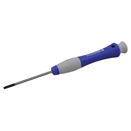 Slotted Screwdriver, 5/32" Tip, Round, 6-1/2" L, Plastic Handle Groupe Belzile Dickner