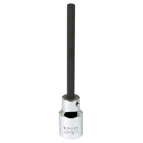 Bit Socket, 5 mm x 3-7/8" L, 3/8" Drive Groupe Belzile Dickner