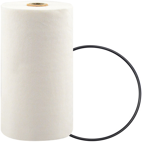 P7247 Spin-On Coolant Filter with BTE Formula Groupe Belzile Dickner