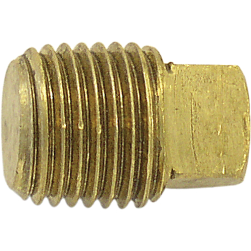 Pipe Plugs (Square Head), 1/8" Dia., Brass Groupe Belzile Dickner
