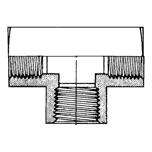 Female Pipe Tees, Brass, 1/8" Groupe Belzile Dickner