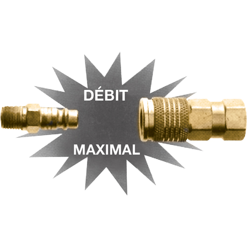 Ultraflo Interchange Plugs, 1/4" Groupe Belzile Dickner