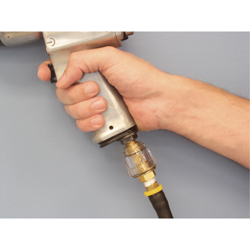 Lubricators - Standard Duty, 1/4" NPT, Max. 120 PSI, In Line Groupe Belzile Dickner