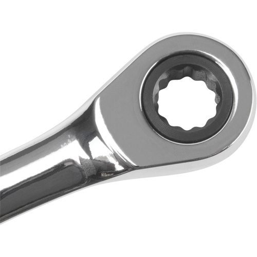 SAE Ratcheting Combination Wrench, 12 Point, 1/4", Chrome Finish Groupe Belzile Dickner