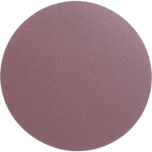 PSA Cloth Disc 348D, 12" Dia., 60 Grit, Aluminum Oxide, X-Weight Groupe Belzile Dickner