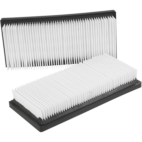 Filtres plats principaux, Cartouche, Pour 12 gal. US Groupe Belzile Dickner