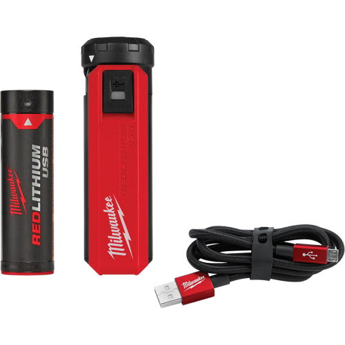 Redlithium USB Charger & Power Source Kit, 4 V, Lithium-Ion Groupe Belzile Dickner