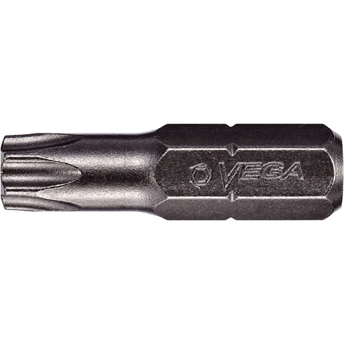Embout &agrave; t&ecirc;te ogivale, Torx, 45, Prise 1/4" Groupe Belzile Dickner