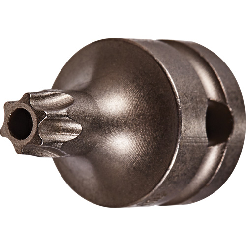 Embout &agrave; ins&eacute;rer, Torx inviolable, 25 x 1" lo, Prise 3/8" Groupe Belzile Dickner