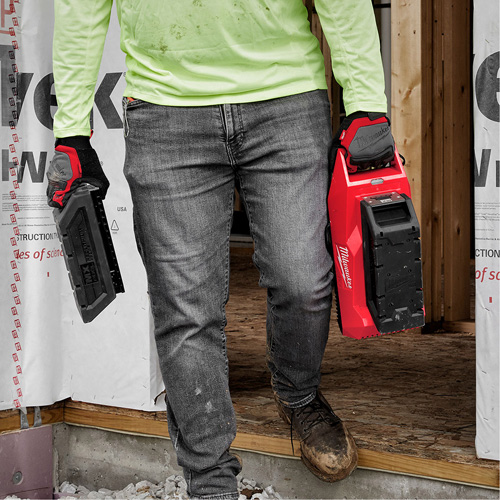 Chargeur de pile MX Fuel, 72 V, Lithium-ion Groupe Belzile Dickner