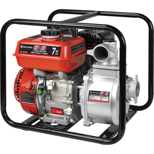 Gas Powered Water Pump, 196 cc, 4-Stroke OHV, 7.0 HP Groupe Belzile Dickner
