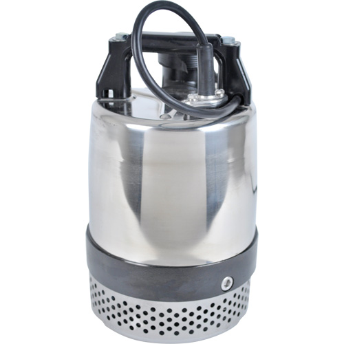 Pompe utilitaire s&eacute;rie FLS/FS, 1 CV, 80 gal./min, 115 V, 10 A Groupe Belzile Dickner