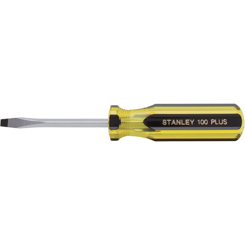Tournevis pour &eacute;crous &agrave; fente 100 PLUS, Tige de 3/16", Ronde, Prise en Plastique Groupe Belzile Dickner