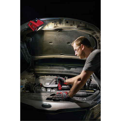 M12 Rover Mounting Flood Light, LED, 250 W, 1000 Lumens Groupe Belzile Dickner