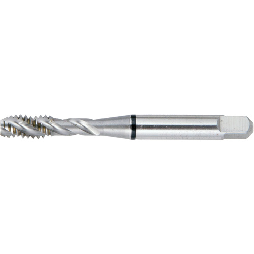DRILLCO Spiral Flute Super High Performance BT Tap, High Speed Steel, 12-24 Thread Groupe Belzile Dickner