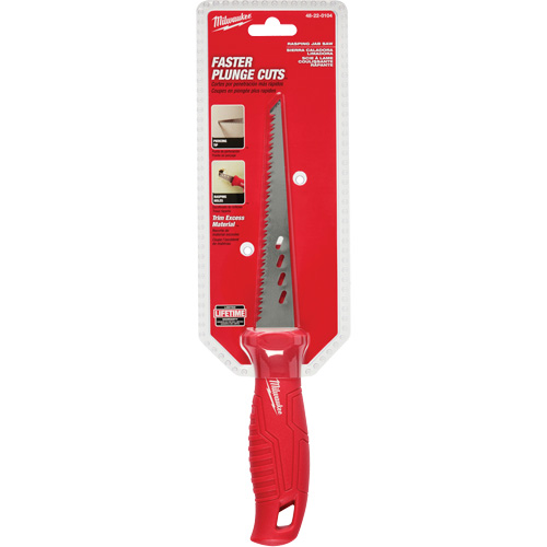 Rasping Jab Saw Groupe Belzile Dickner