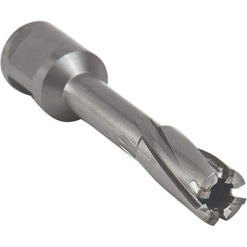 Core Cut Annular Cutter with Weldon Shank, 12 mm Diameter, Carbide, 55 mm Depth of Cut, 3/4" Shank Groupe Belzile Dickner