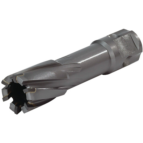 Couteau annulaire &agrave; tige universelle, Diam&egrave;tre de 1/2", Carbure, Profondeur de la coupe de 2", Tige 3/4" Groupe Belzile Dickner