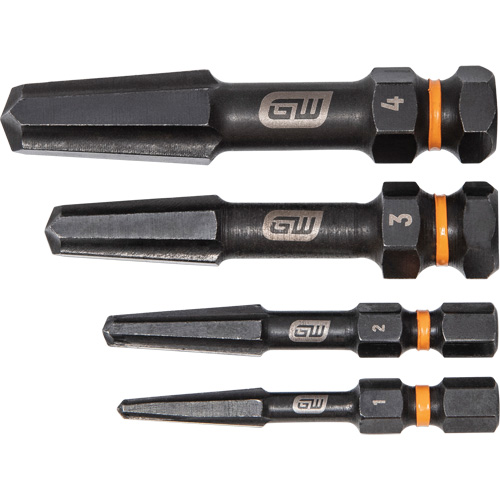 Bolt Biter Screw Extractor Set, High Speed Steel, 4 Pieces Groupe Belzile Dickner