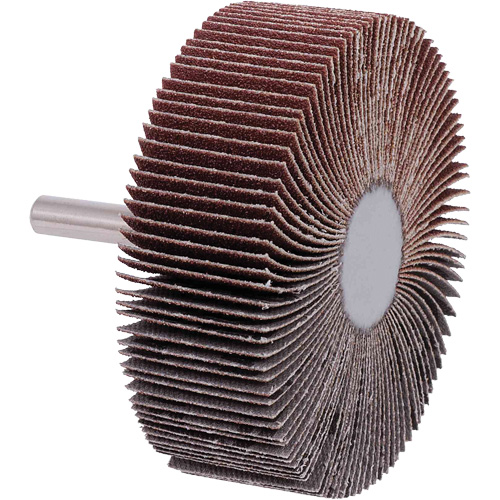 Flap Wheels, 40 Grit, 3" x 1" Groupe Belzile Dickner