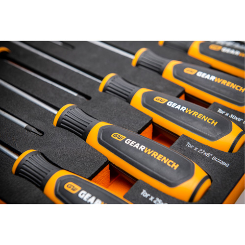 Jeu de tournevis bimat&eacute;riau Torx dans un plateau de rangement en mousse, 10 mcx Groupe Belzile Dickner