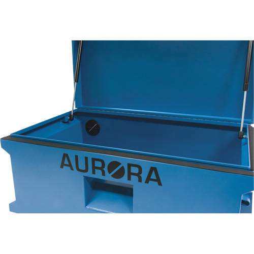 Coffre &agrave; outils de chantier, 33" x 20-3/10" x 18-3/10", Acier, Bleu Groupe Belzile Dickner