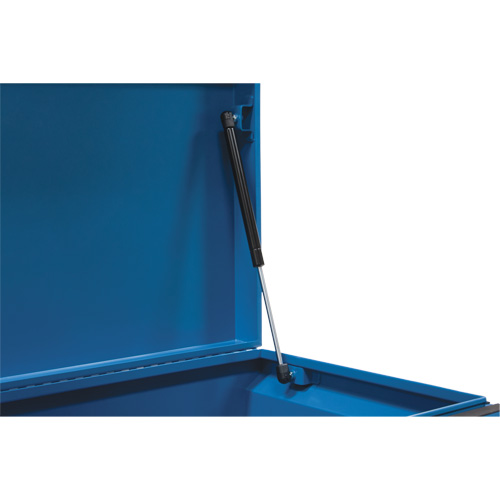 Coffre &agrave; outils de chantier, 33" x 20-3/10" x 18-3/10", Acier, Bleu Groupe Belzile Dickner