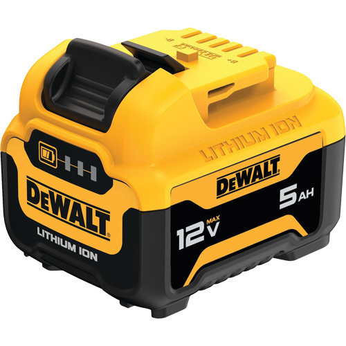 Bloc-pile MAX*, Lithium-ion, 12 V, 5 Ah Groupe Belzile Dickner