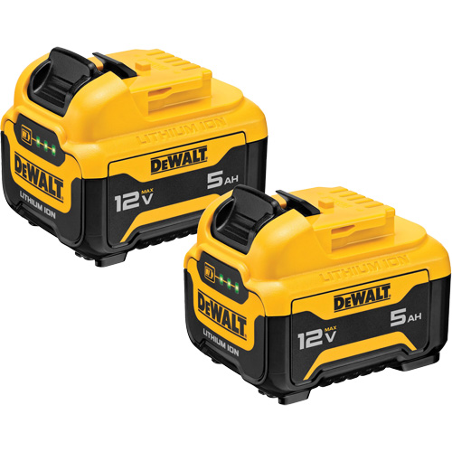 Bloc-piles Max*, Lithium-ion, 12 V, 5 Ah Groupe Belzile Dickner