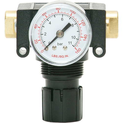 MODULAIR 200 Acetal Piston Regulator, 1/4" NPT, 150 PSI Max. PSI, In Line/Modular Groupe Belzile Dickner