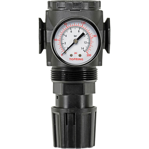 MODULAIR 300 Zinc Diaphragm Regulator, 3/8" NPT, 300 psi Max. PSI, In Line/Modular Groupe Belzile Dickner