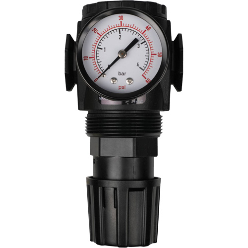 MODULAIR 300 Compressed Air Regulator, 1/2" NPT, 300 psi Max. PSI, In Line/Modular Groupe Belzile Dickner
