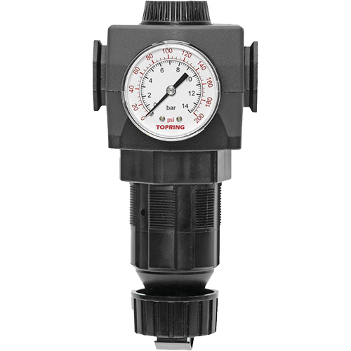 MODULAIR 400 Zinc Diaphragm Regulator, 1/2" NPT, 300 psi Max. PSI, In Line/Modular Groupe Belzile Dickner
