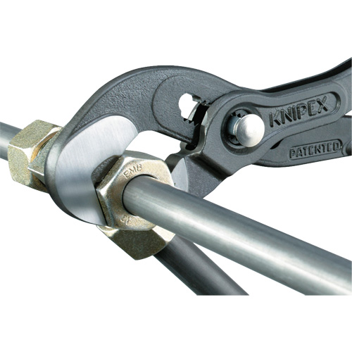 Raptor Pliers, 10" Groupe Belzile Dickner