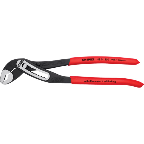 Pince multiprise auto-bloquante Alligator&reg;, 10" Groupe Belzile Dickner