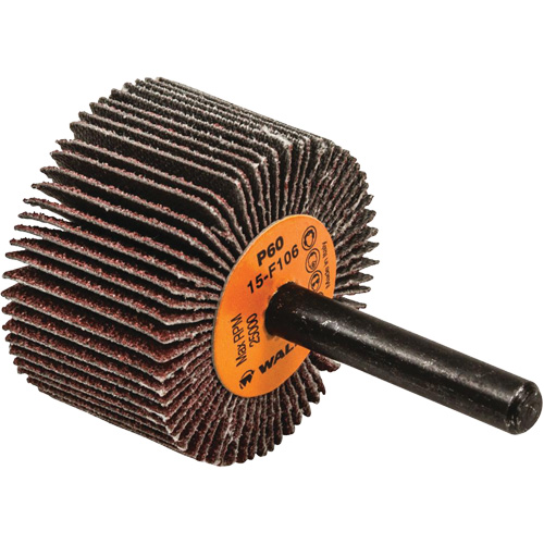 Disques &agrave; lamelles - Meules &agrave; lamelles Coolcut, Oxyde d'aluminium, Grain 60, 1-1/2" x 1" x 1/4" Groupe Belzile Dickner