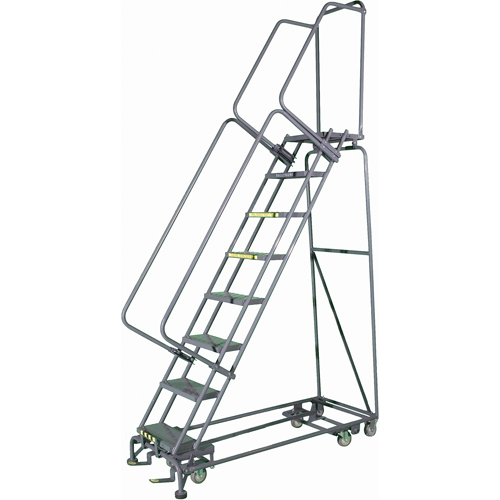 All Directional Ladders, 10 Steps, 24" Step Width, 100" Platform Height, Steel Groupe Belzile Dickner