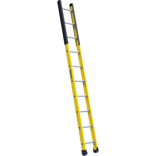 Single Manhole Ladder, 10', Fibreglass, 375 lbs., CSA Grade 1AA Groupe Belzile Dickner