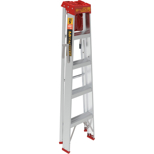 Step Ladder with Paint Tray, 5', Aluminum, 200 lbs. Capacity, Type 3 Groupe Belzile Dickner