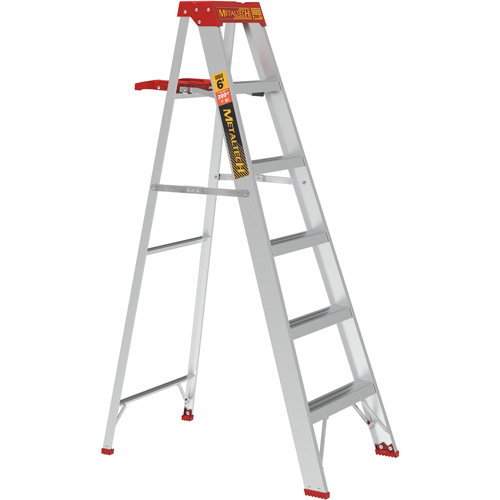 Step Ladder with Paint Tray, 6', Aluminum, 200 lbs. Capacity, Type 3 Groupe Belzile Dickner