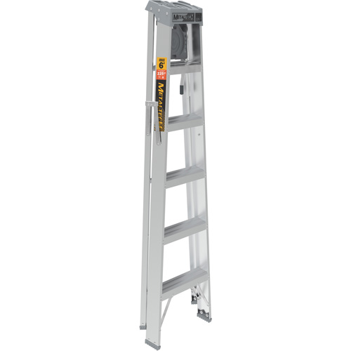 Step Ladder with Paint Tray, 6', Aluminum, 225 lbs. Capacity, Type 2 Groupe Belzile Dickner