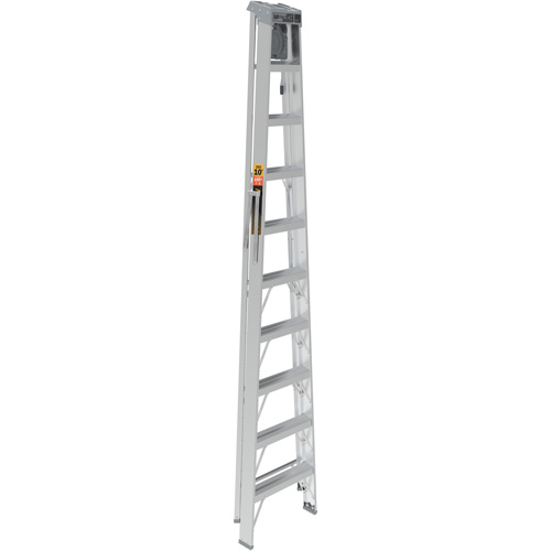 Step Ladder with Paint Tray, 10', Aluminum, 225 lbs. Capacity, Type 2 Groupe Belzile Dickner