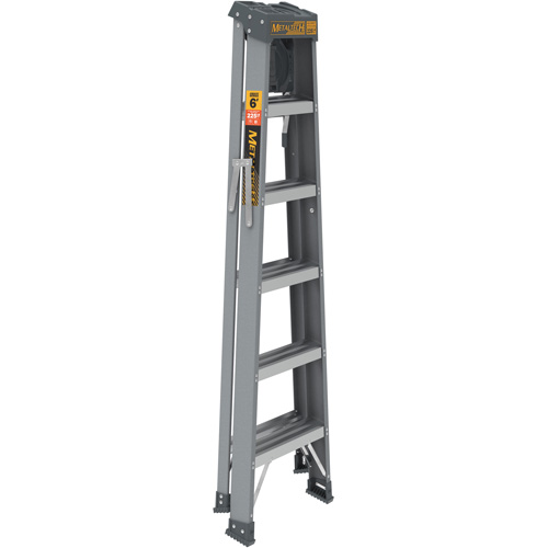 Step Ladder with Paint Tray, 6', Fibreglass, 225 lbs. Capacity, Type 2 Groupe Belzile Dickner