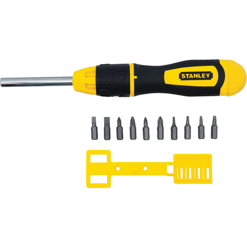Multi-Bit Ratchet Screwdriver with 10 Bits, Cushion Grip Handle Groupe Belzile Dickner
