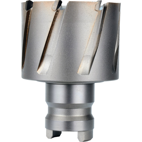 Quick Change Tang Drive Hawg&reg; Cutter, 2" Diameter, Steel, 1" Depth of Cut Groupe Belzile Dickner