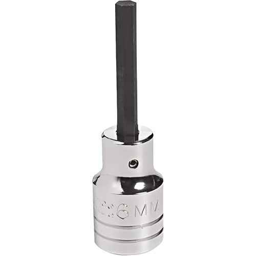 Embout &agrave; ins&eacute;rer, Hexagonale, 18 mm x 4" lo, Prise 1/2" Groupe Belzile Dickner