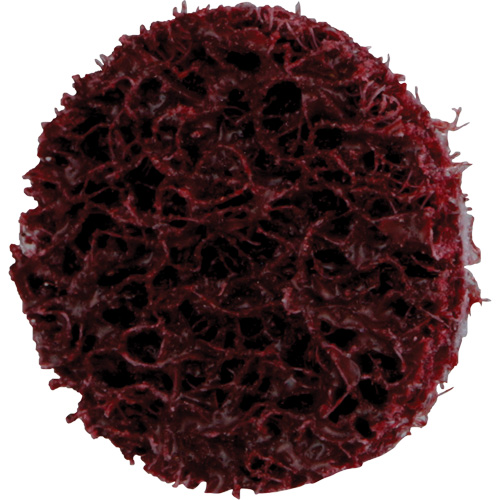 Disque de conditionnement de surface &agrave; remplacement rapide Standard Abrasives, 3/4" dia., Grain Moyen, Oxyde d'aluminium Groupe Belzile Dickner