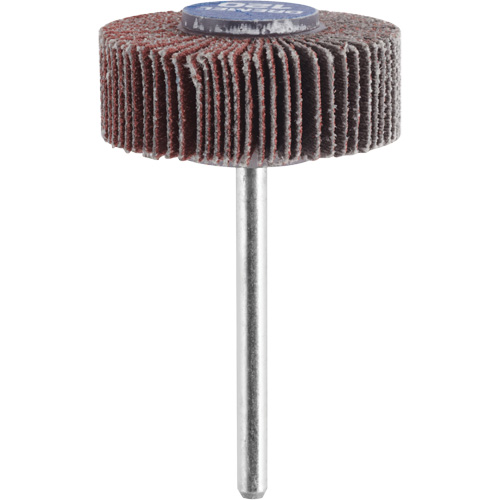 M&egrave;che de ponçage &agrave; roue &agrave; lamelles 3/8" - grain 120 Groupe Belzile Dickner